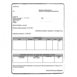 Exemple de relevé d'information auto FR