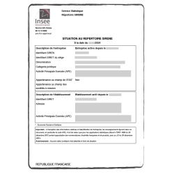 copy of Certificate of Social Security Contributions